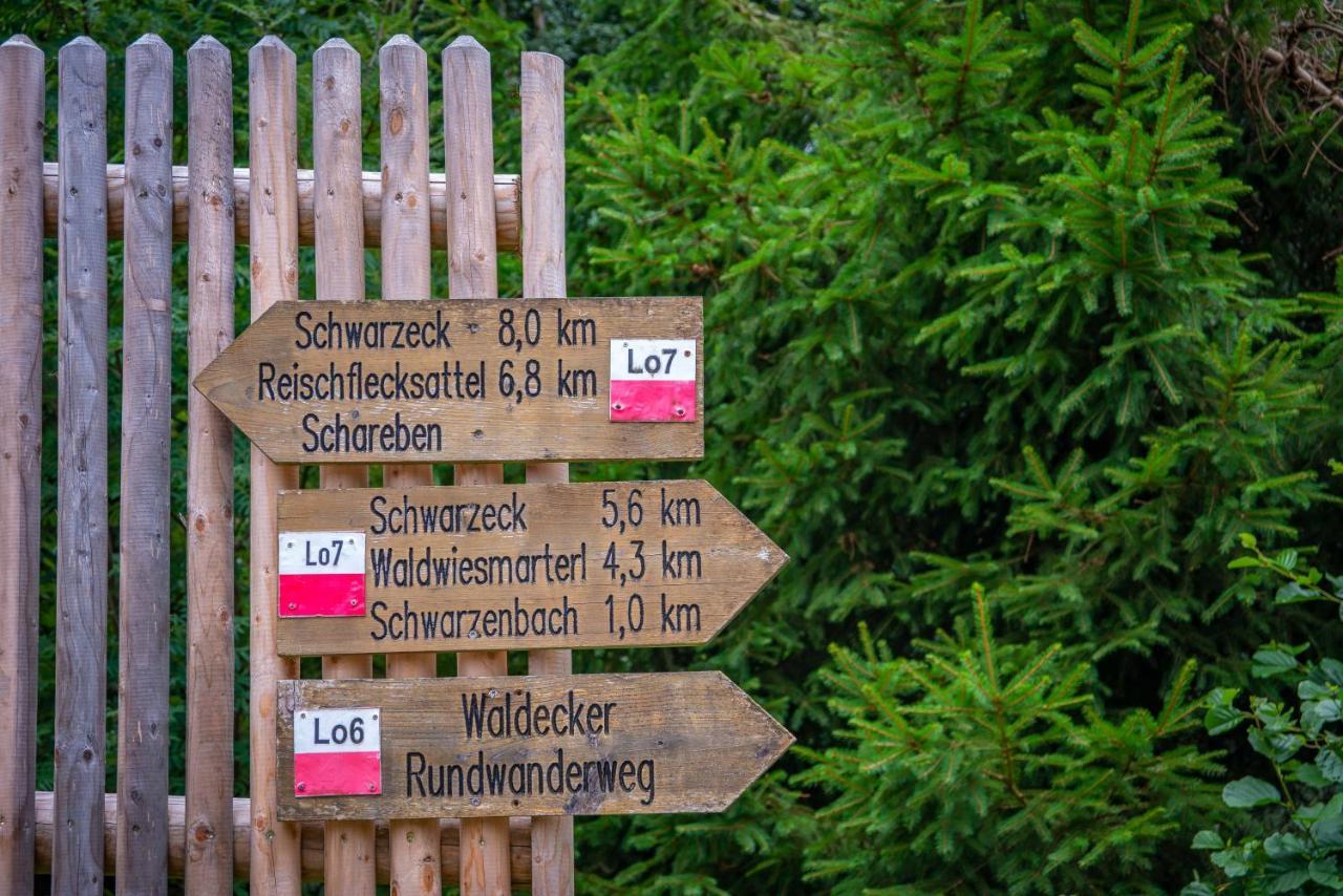 Ski-Bike-Apartment Bayerwald لوبيرغ المظهر الخارجي الصورة